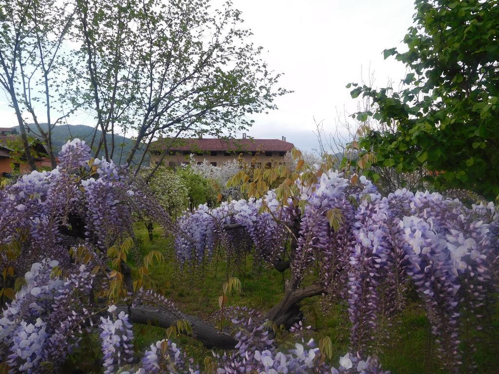 U Tej Bed & Breakfast คูเมียนา ภายนอก รูปภาพ